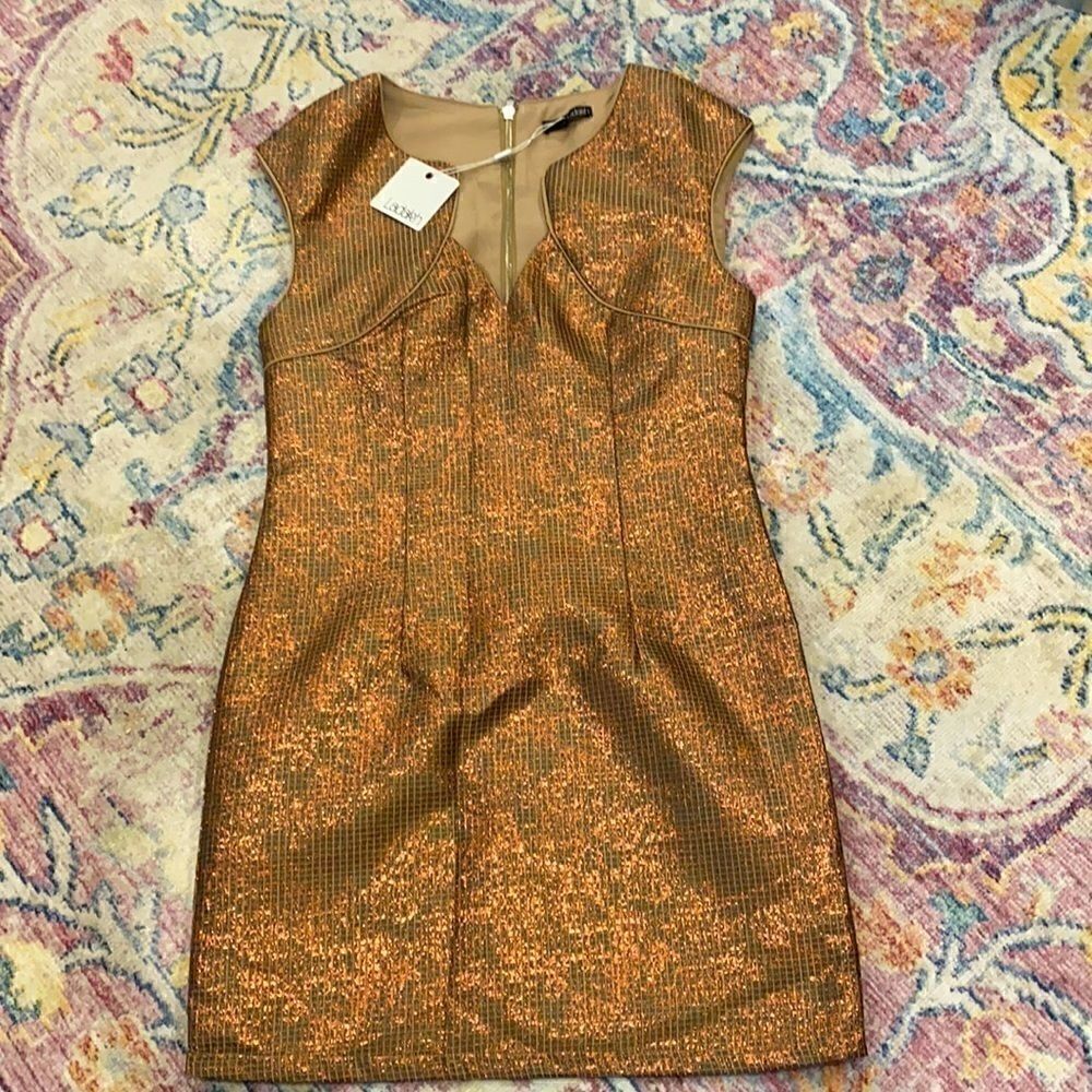 Ladakh rose gold mini dress